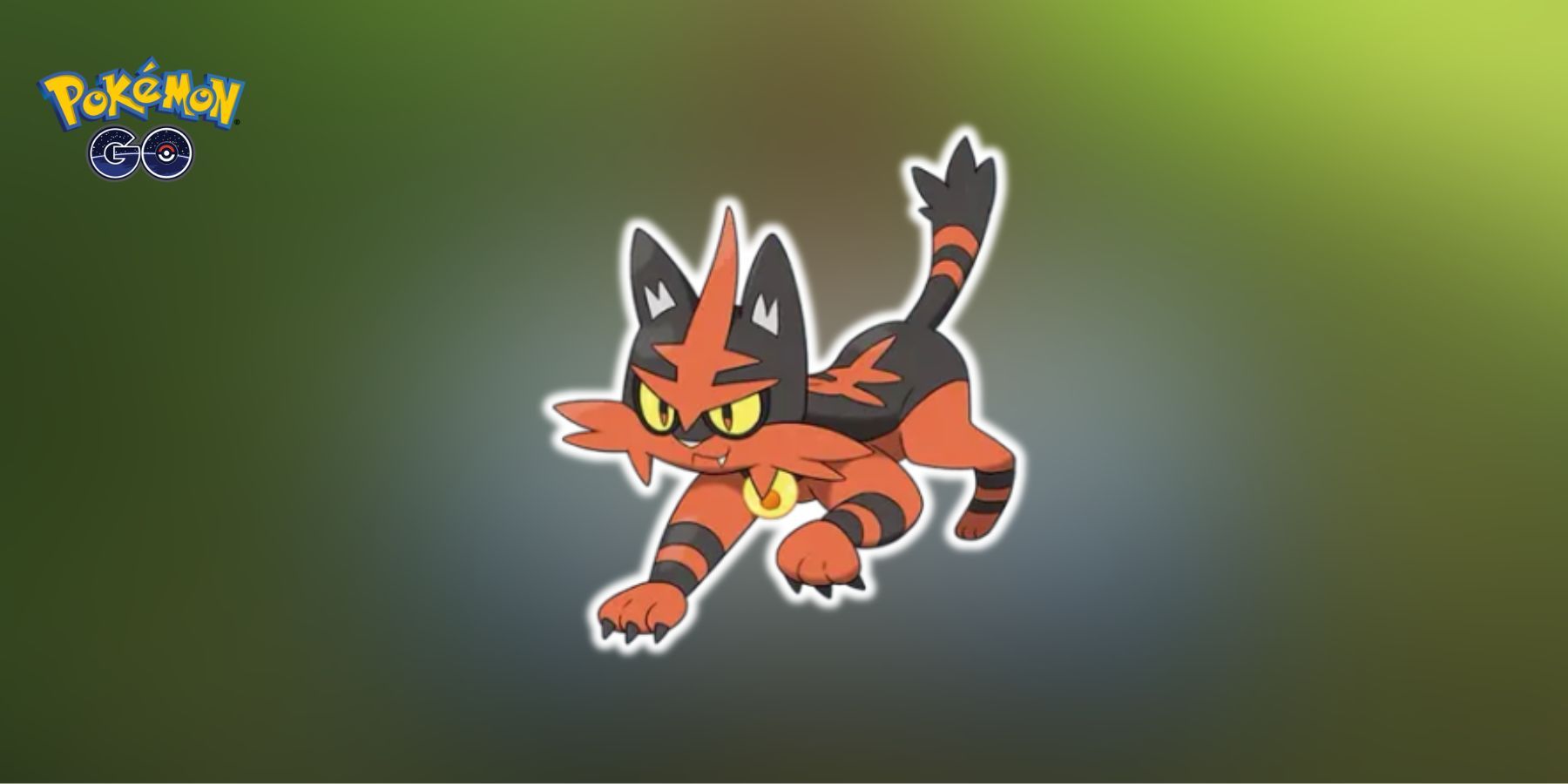 Torracat em Pokémon GO